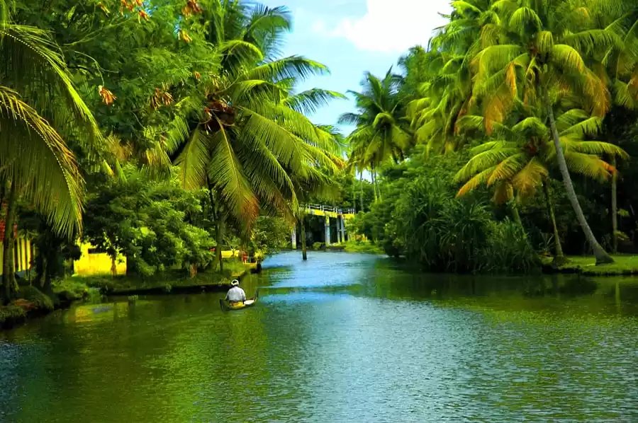 Amazing Munnar-Thekkady-Alleppey Tour